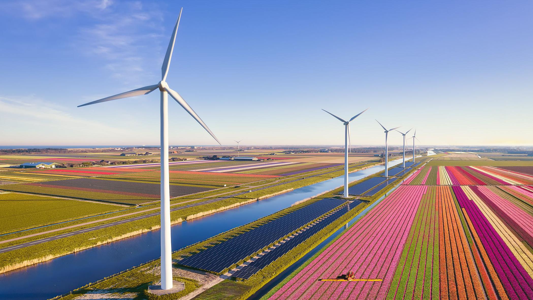 Netherlands' renewables drive putting pressure on its power grid