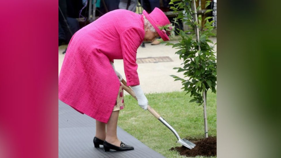 Королева сажает дерево