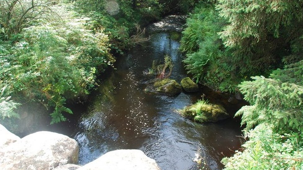 Snowdonia: Man guilty of panning for gold in Afon Wen - BBC News