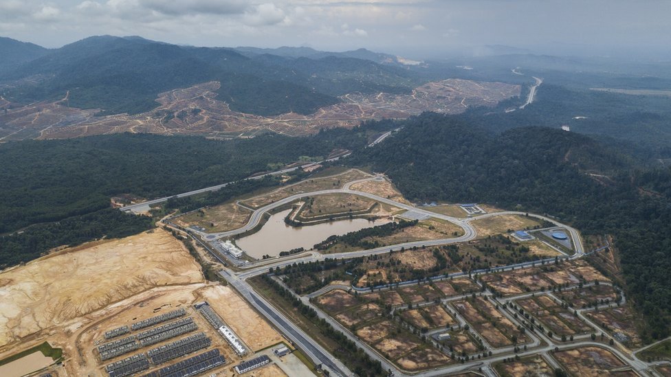 bosque de Kelantan