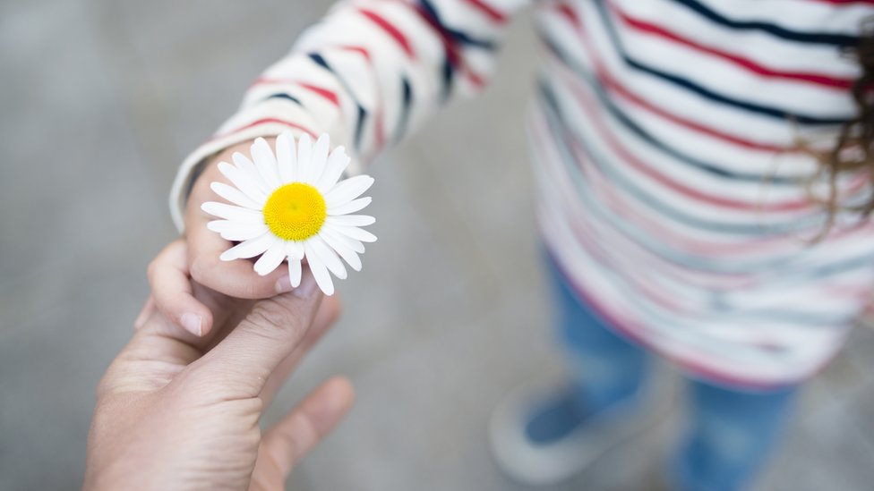 Stock picture of a girl holding a flower