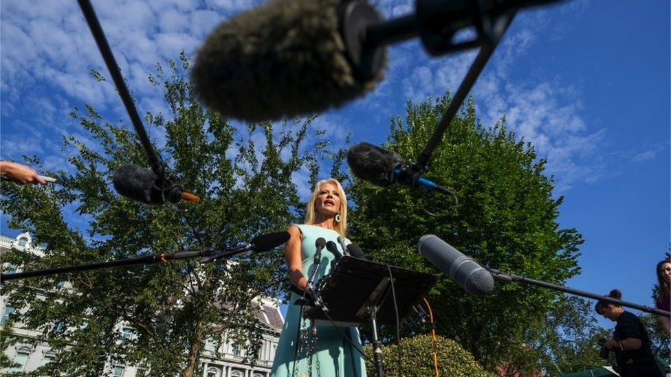 美國白宮外凱莉安妮·康威在一堆話筒的「簇擁」下對記者發言（19/8/2019）