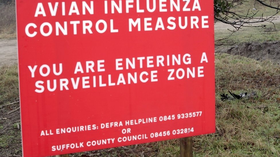 2007年禽流感時英國鄉村的警告牌