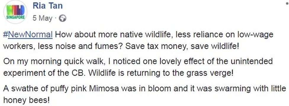 Сообщение в Facebook: как насчет большего количества местной дикой природы, меньшей зависимости от низкооплачиваемых рабочих, меньшего шума и дыма? Экономьте налоговые деньги, спасайте дикую природу!