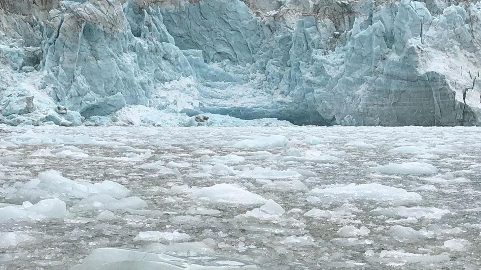 Hojas de hielo flotantes rodean el glaciar Pia en el estrecho de Magallanes.