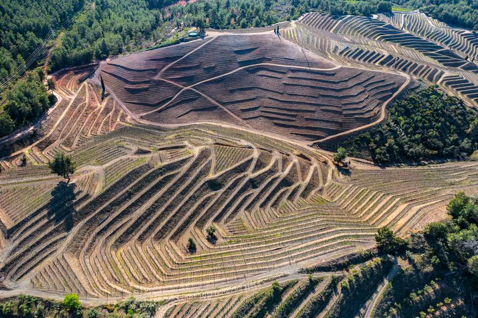 Human-made stepped vineyards in Spain