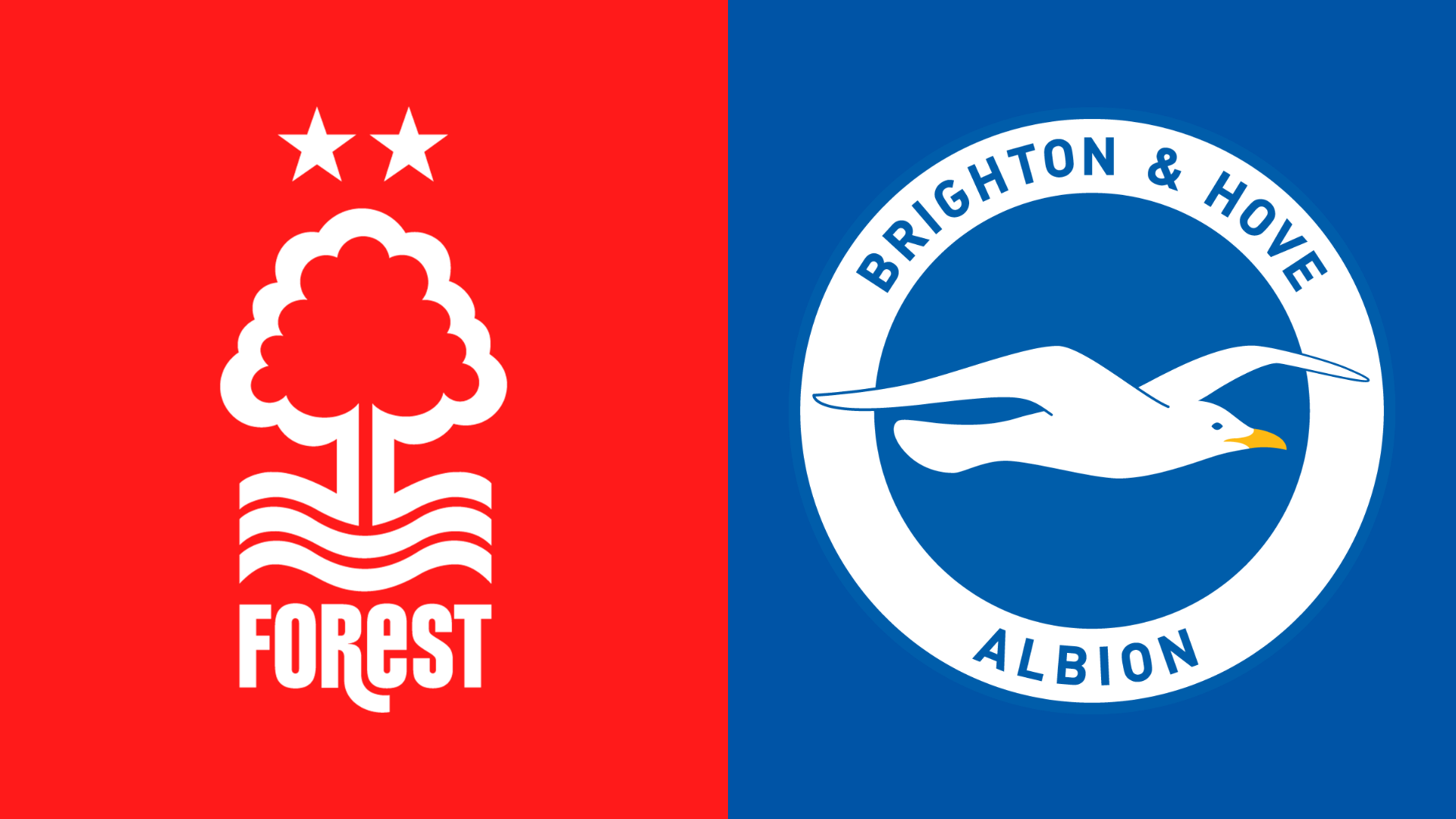 Nottingham Forest vs Brighton & Hove Albion