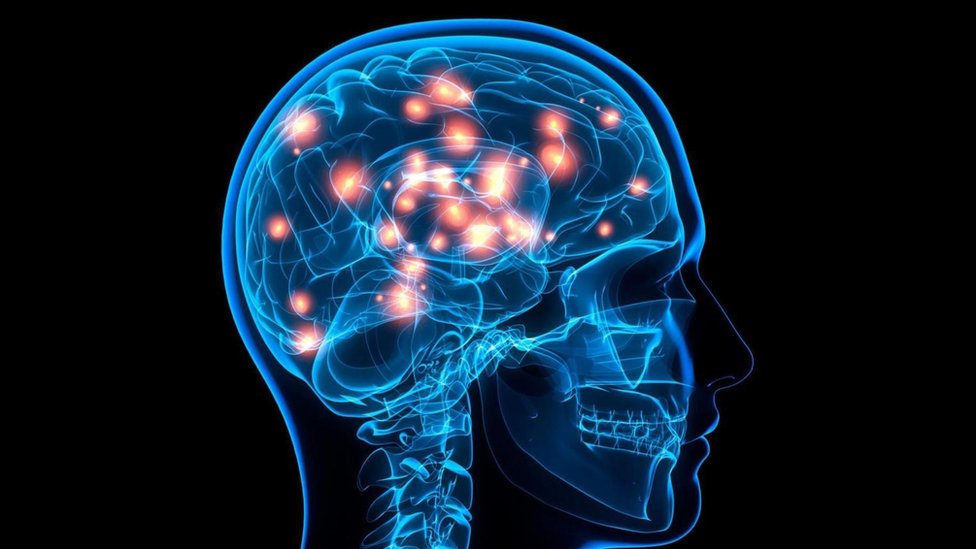 La conciencia es un misterio profundo. Una imagen de un cráneo