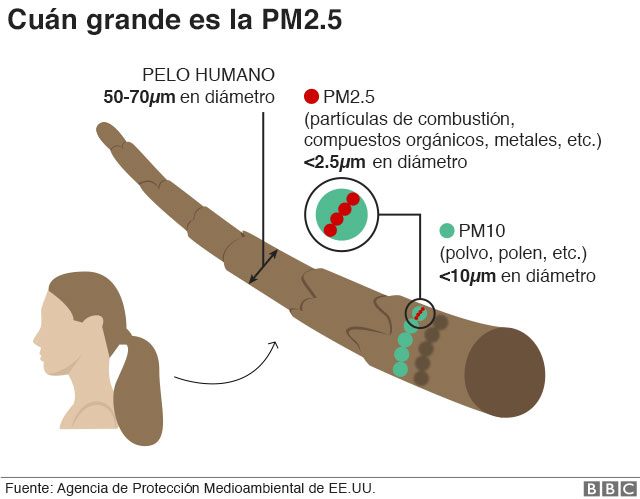 Gráfico que muestra cuánto mide la PM2.5