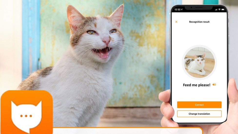 Publicidad de la app MeowTalk