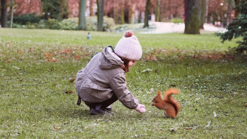 Menina brincando com esquilo