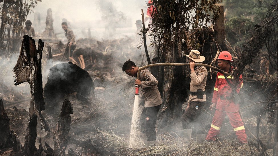 Полицейские и пожарные Индонезии тушат пожар в лесу в Рокан-Хулу, провинция Риау, Индонезия, 28 августа 2016 г.