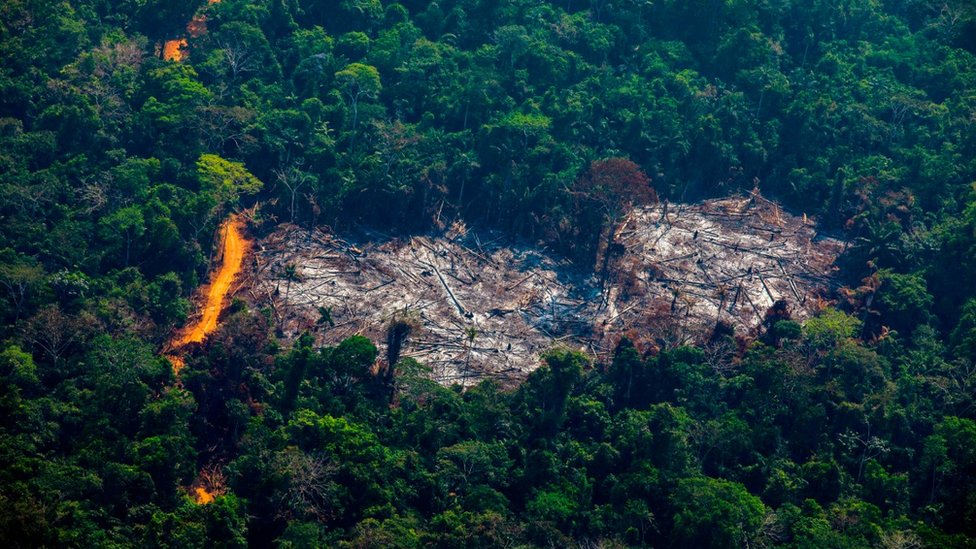 An aerial shot from 2019 of deforestation in the Amazon
