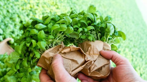 PESTO DI PRA'/SERRE SUL MARE