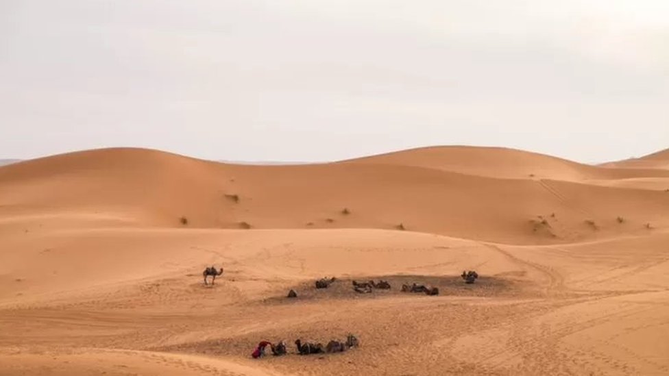 يمثل طريق الصحراء خطرا كبيرا على المهاجرين الذين يحاولون الوصول إلى شمال أفريقيا