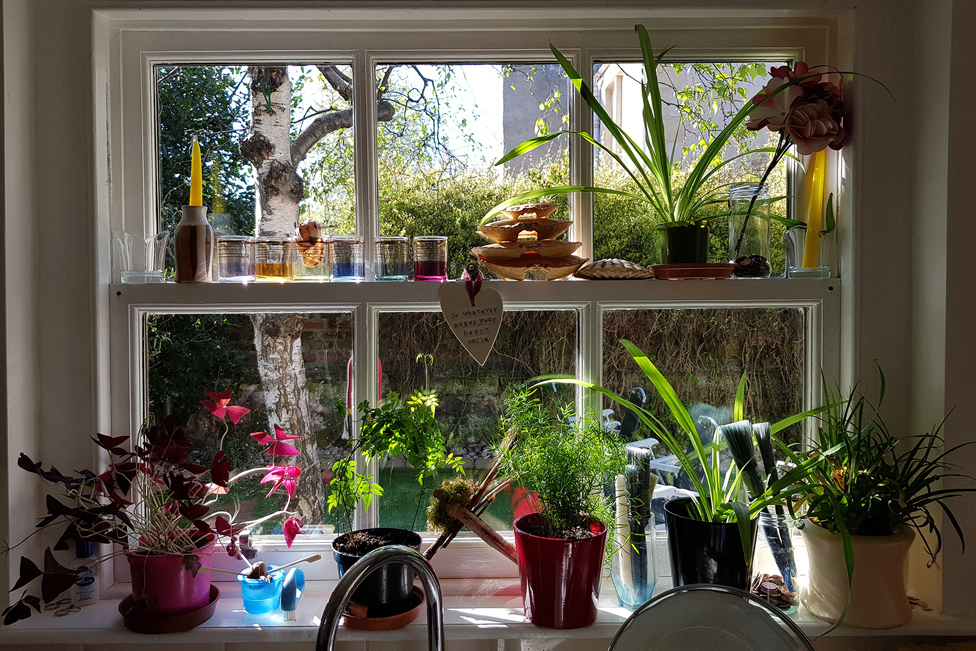 Pflanzen Sie Töpfe und andere Gegenstände auf ein Fensterbrett