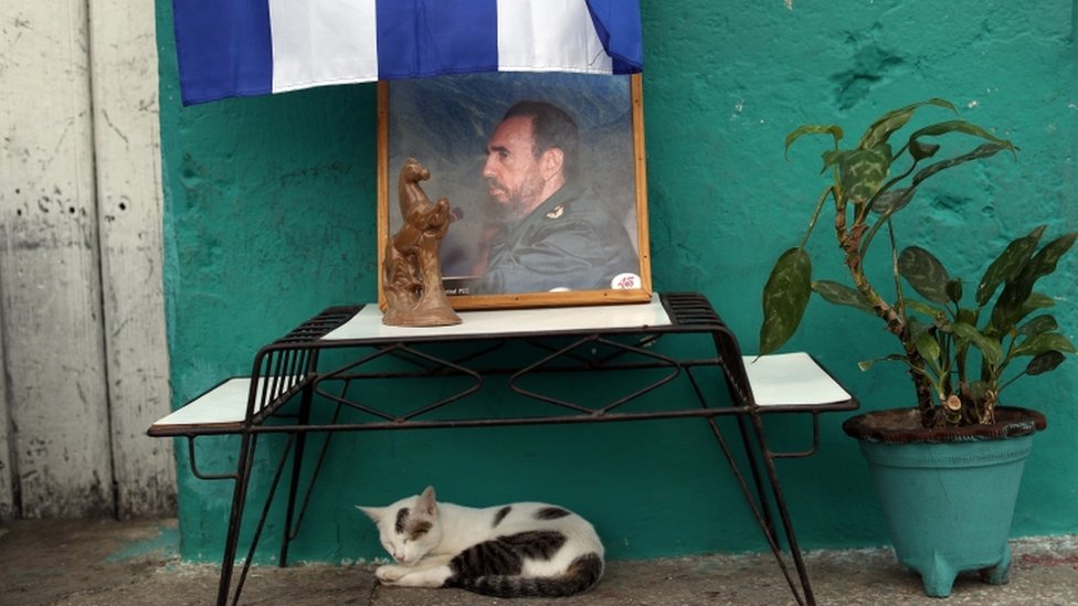 Кот дремлет под портретом покойного кубинского лидера Фиделя Кастро