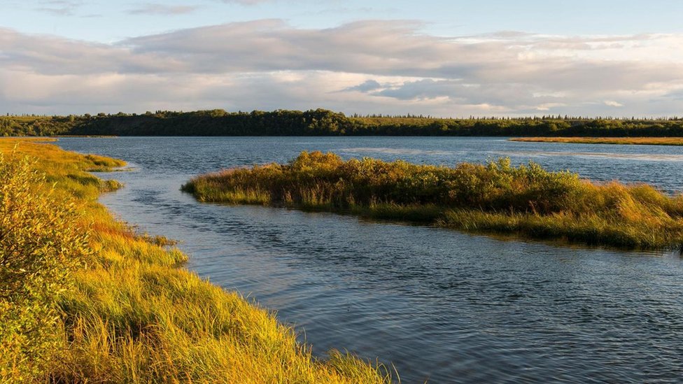   Naknek River in Alaska 