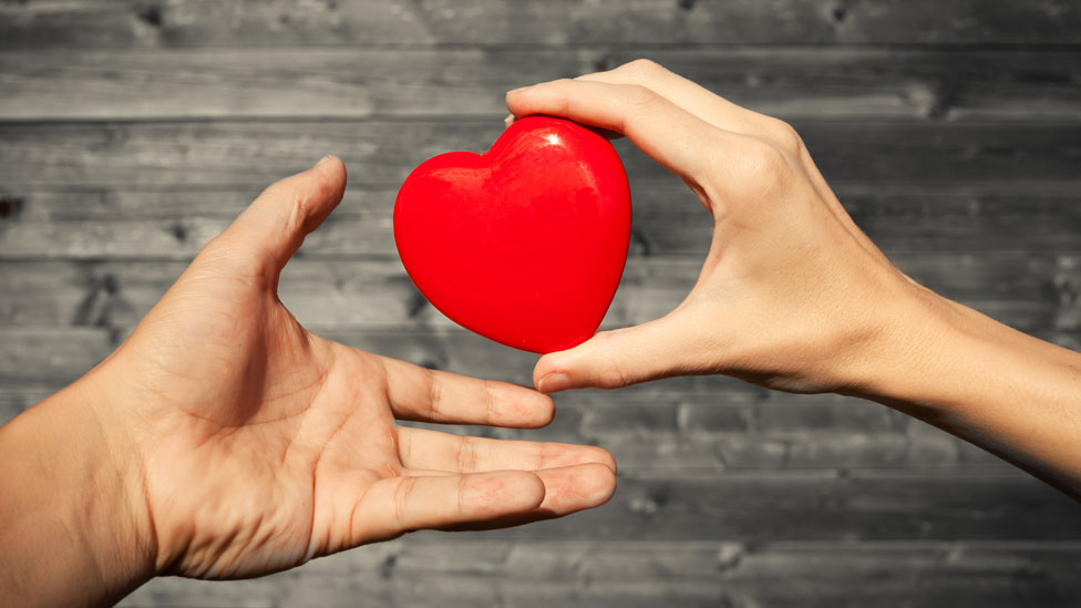 Manos de una mujer y un hombre con un corazón de plástico