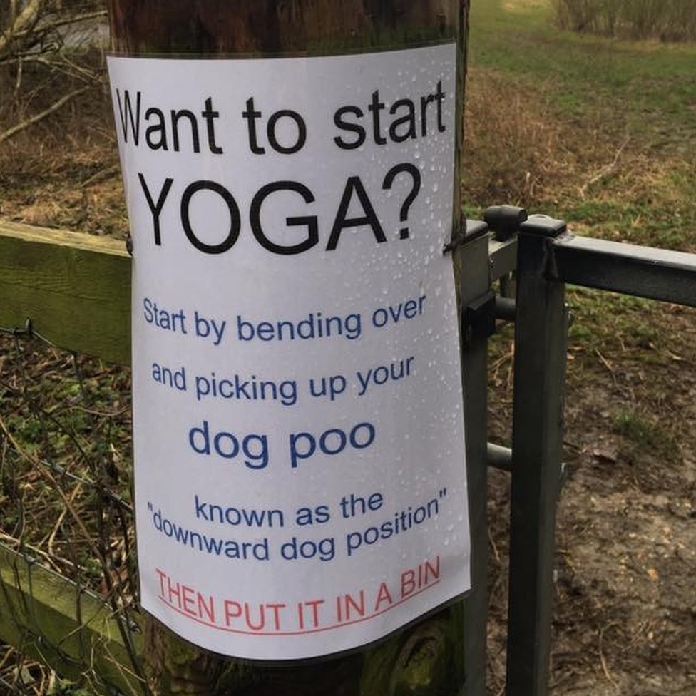 funny dog poop signs uk