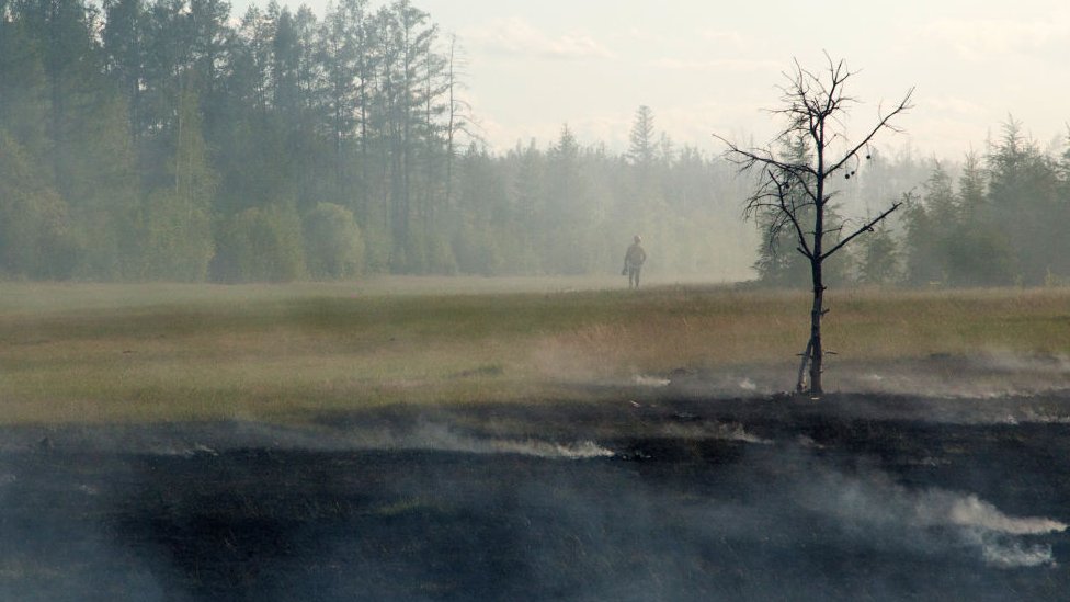 A forest fire in central Yakutia in Russia