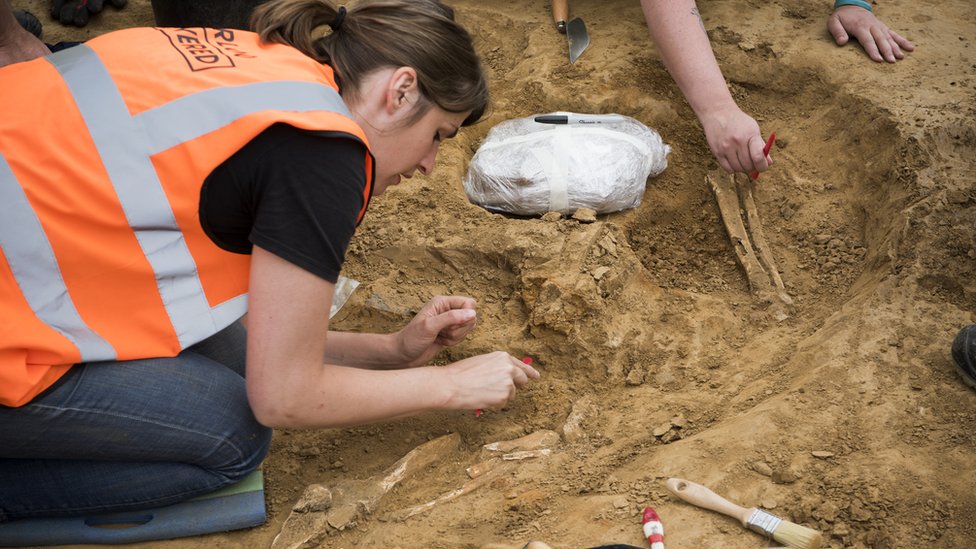 Человеческая кость была обнаружена при раскопках в полевом госпитале Мон-Сен-Жан.