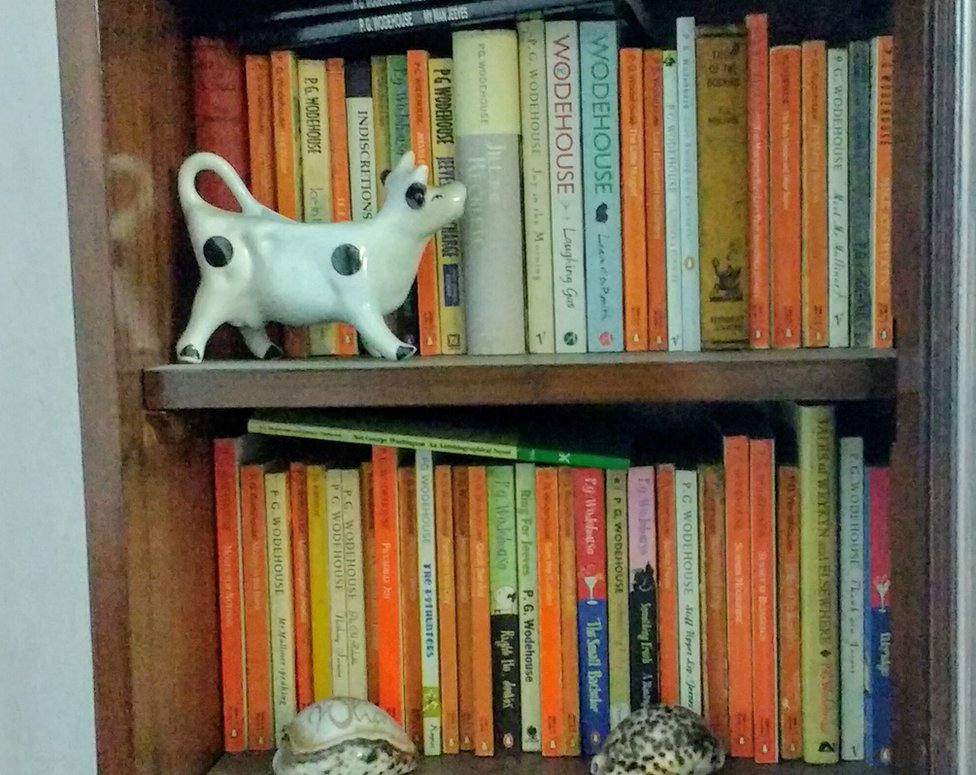 Sushmita Sen Gupta's bookcase