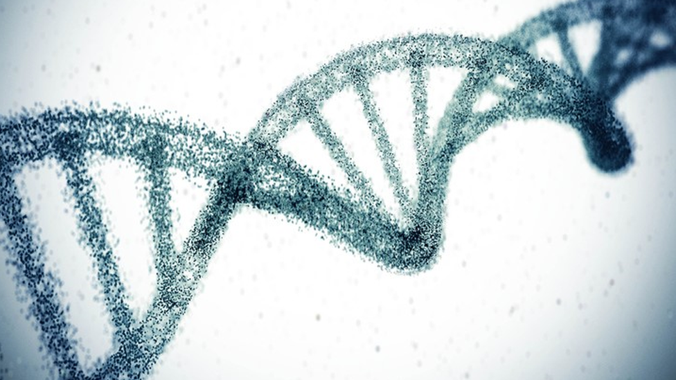 El ADN suele tener la forma de una doble hélice.