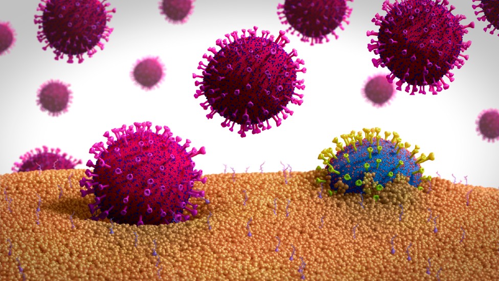 Ilustración de una forma mutada de un coronavirus (azul) que sale de una célula.