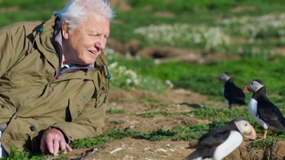 Sir David Attenborough: Three must-see moments in new series