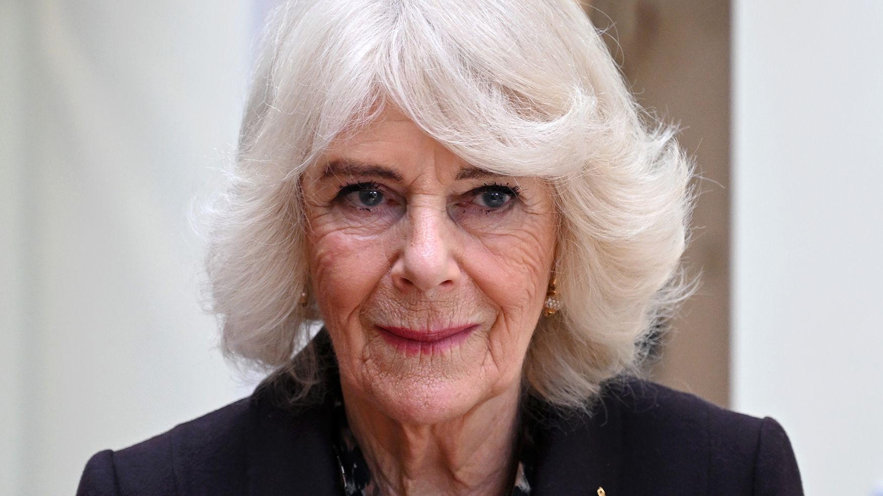 Camilla fought off attempted indecent assault as teenager, book says
