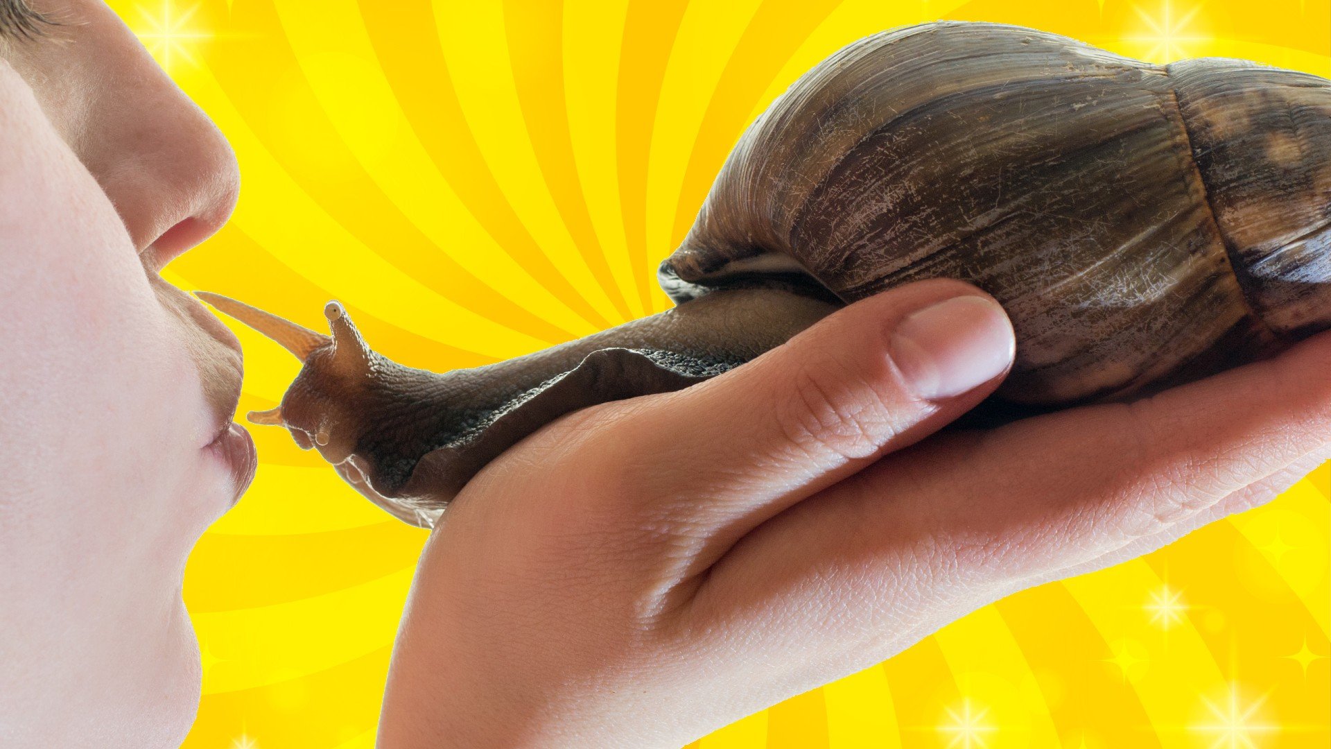 giant sea snails