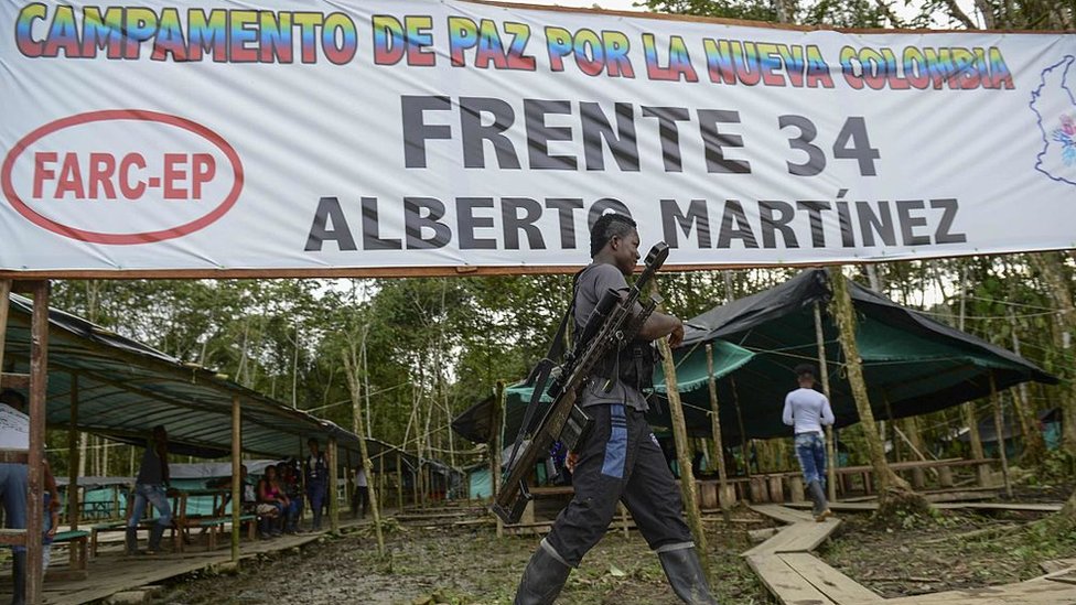 Después de abandonar dejar las armas, los guerrilleros recibirán una acreditación por parte del gobierno que les permite hacer su tránsito a la legalidad y la vida civil. Campamento Frente 34