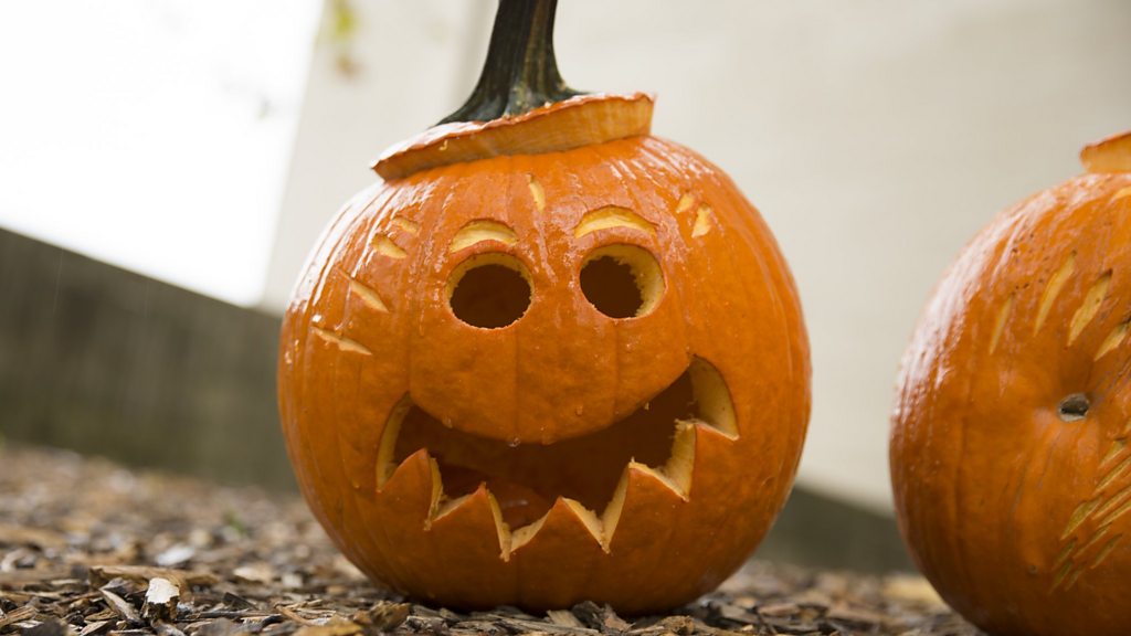 How to make the most of your leftover pumpkins - CBBC Newsround
