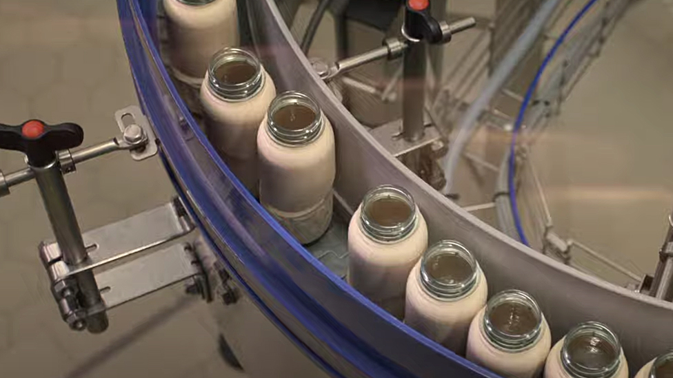 Paper bottles at the filling plant, moving along rollers on the assembly plan