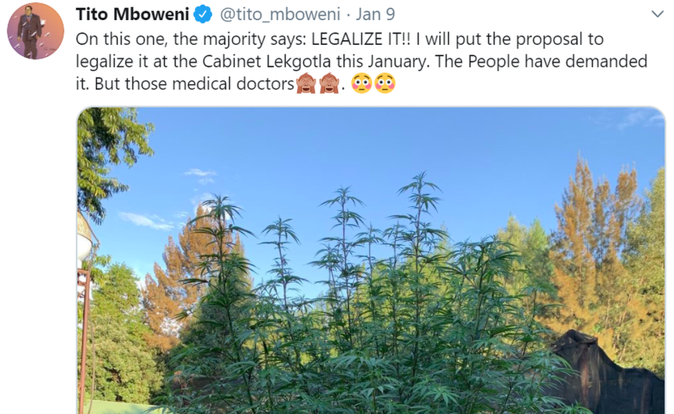 Ein Tweet über eine Cannabispflanze