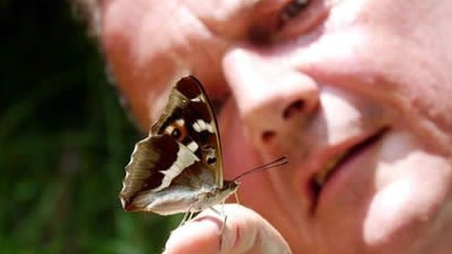 Neil Hulme and butterfly