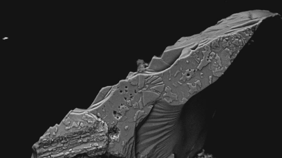 Cristal de hibonita en una imagen captada con un microscopio de electrones