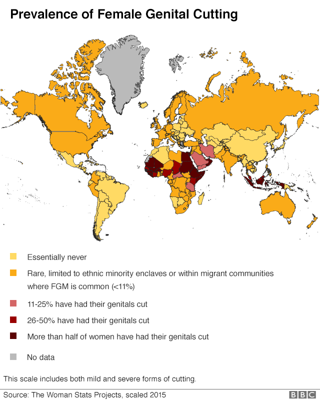 _105503373_fem_genital_mutilation_eng_640-nc.png