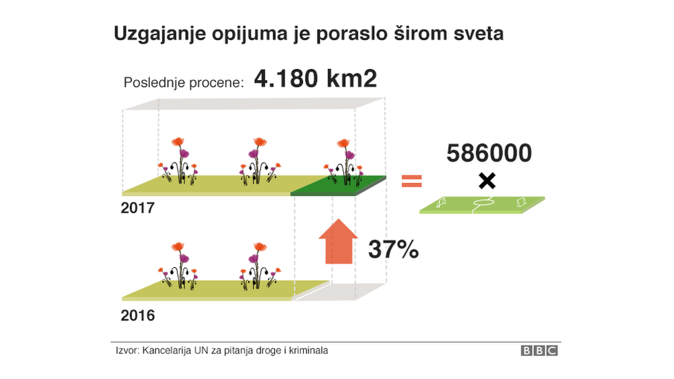 Grafikon: uzgajanje opijuma širom sveta