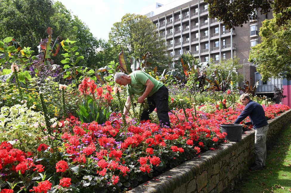 Садовники парка Сент-Хелиер предпочитают экзотические клумбы в Parade Gardens