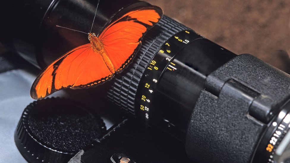Cámara de fotos con una mariposa encima. Cámara de fotos con una mariposa encima.