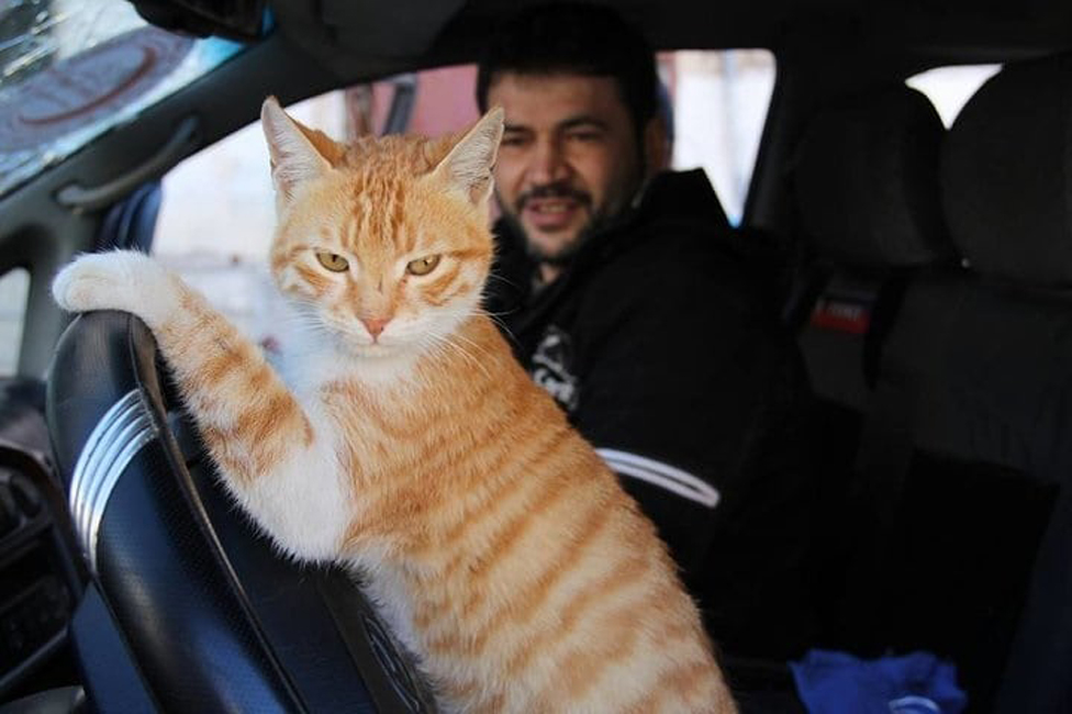 Alaa i mačak Ernesto