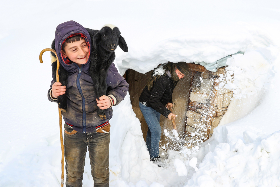 صبي يحمل ماعزا للخروج من منزله المغطى بالثلوج، في ظل موجة البرد الشديد التي تضرب منطقة فان في تركيا.