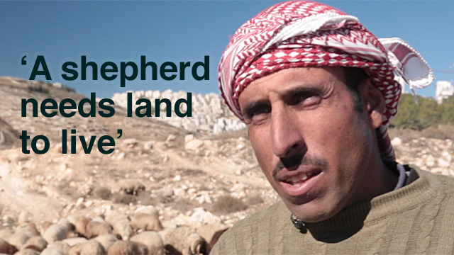 Shepherd Kamal Nabaheen tends his flock in fields on the outskirts of Bethlehem