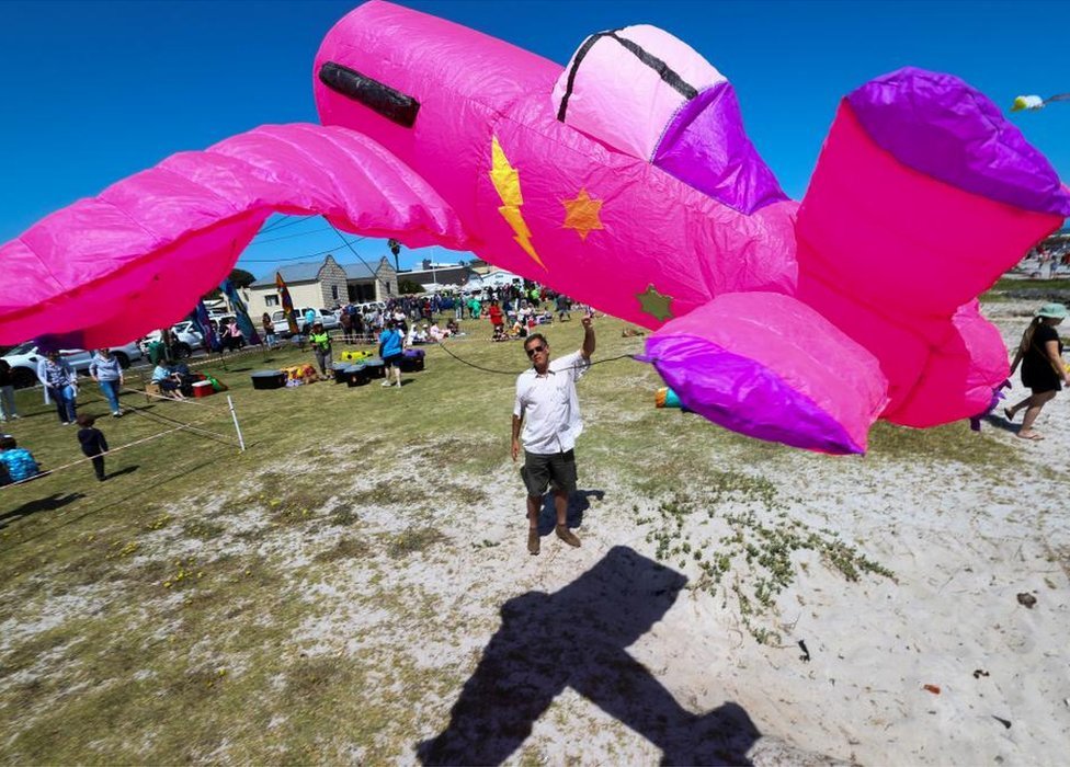رجل يطير طائرة ورقية كبيرة وردية و أرجوانية