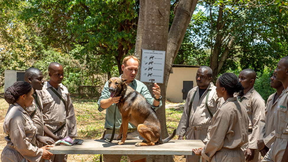 Уилл Пауэлл с собакой, сидящей на столе, разговаривает со стажерами во время тренировки в Аруше, Танзания