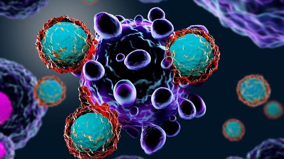 Células T atacando a células cancerígenas.
