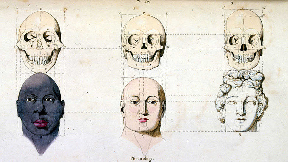 Una ilustración anatómica de frenología, del "Dictionnaire pittoresque d'histoire naturelle et des phenomenes de la nature"-1833/1834.