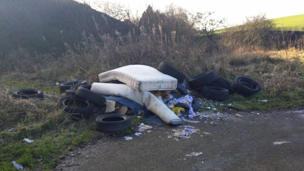 Scottish Wildlife Trust counts cost of illegal flytipping BBC News